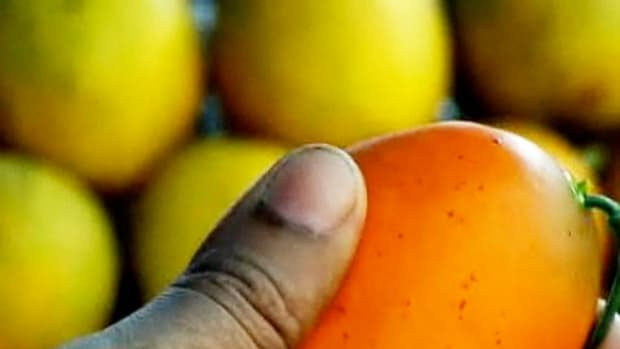 B. How to Make Mango Chutney Promo Image