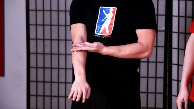 ZV. How to Do the Final 2 Sets of Siu Nim Tau Form in Wing Chun Promo Image