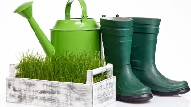 buy_square_foot_gardening_supplies