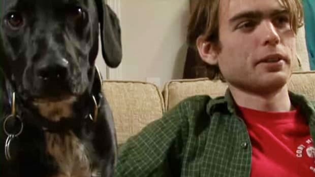 D. How to Use Dog Whisperer Tips on a Dog Who Barks Incessantly Promo Image