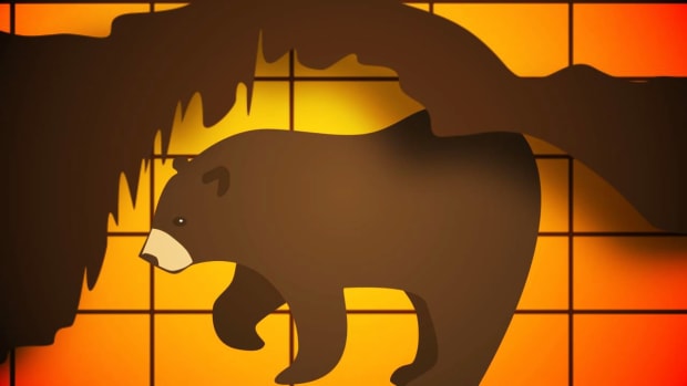 F. How to Invest in a Bear Market Promo Image