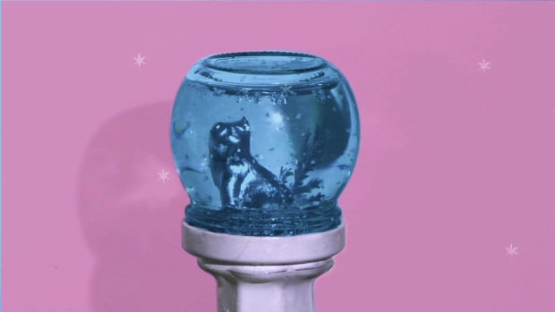 T. How to Make a Snow Globe Promo Image