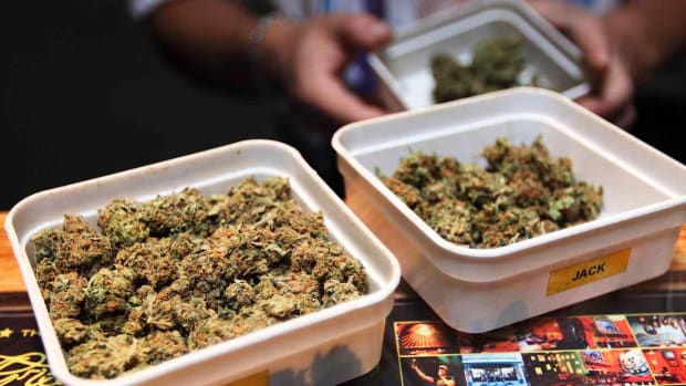 ZN. How Does Medical Marijuana Distribution Affect Communities? Promo Image