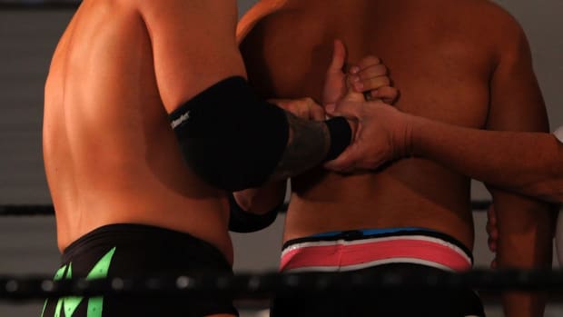 F. How to Do a Hammerlock Wrestling Move Promo Image
