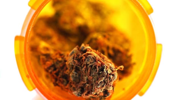 ZM. Does Medical Marijuana Distribution Increase Crime? Promo Image