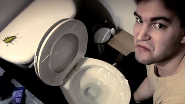 M. How to Wrap a Toilet Seat as a Prank Promo Image