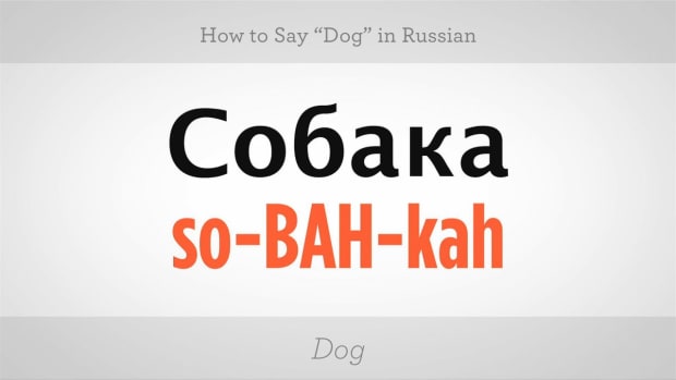 How To Say Cheers In Russian Howcast