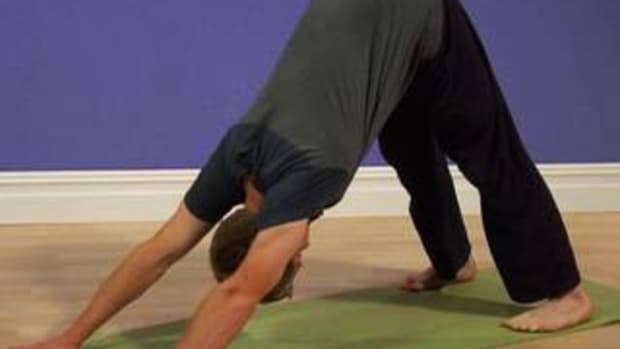 N. How to Do the Downward Facing Dog Pose Promo Image