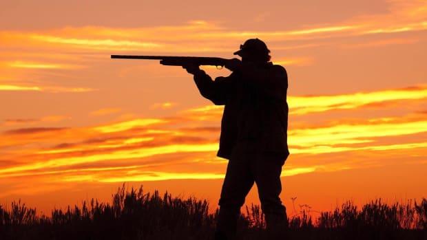 B. How to Go Shotgun Hunting Promo Image