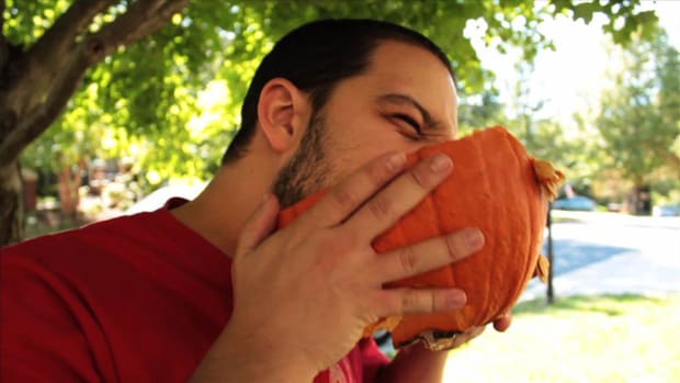 G. How to Throw a Pumpkin Destruction Party Promo Image