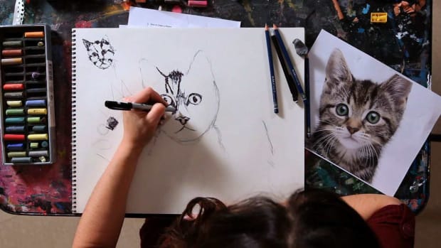 M. How to Draw a Cat Promo Image