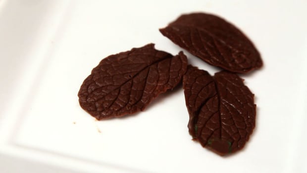 C. How to Make Chocolate Leaves Promo Image