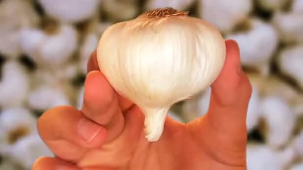 Q. How to Roast Garlic Promo Image