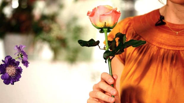 A. How to Make Roses Last Longer in a Floral Arrangement Promo Image