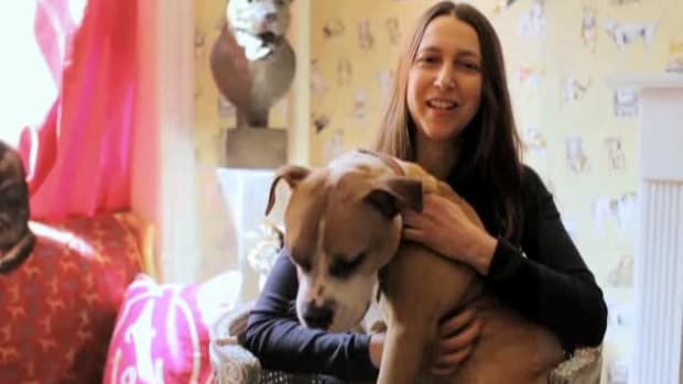 U. How to Understand Dog Breeds with Julia Szabo Promo Image