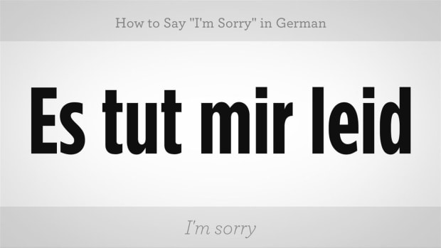 ZZD. How to Say "I'm Sorry" in German Promo Image
