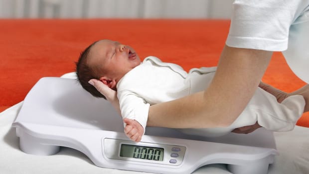 ZB. 7 Baby Weight & Fat FAQs Promo Image