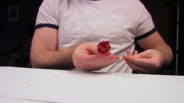 E. How to Craft a Duct Tape Rose Promo Image