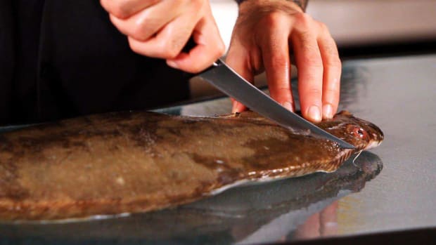 B. How to Make Your Initial Flounder Fillet Cuts Promo Image