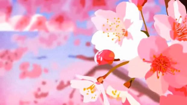 E. How to View Cherry Blossoms Promo Image