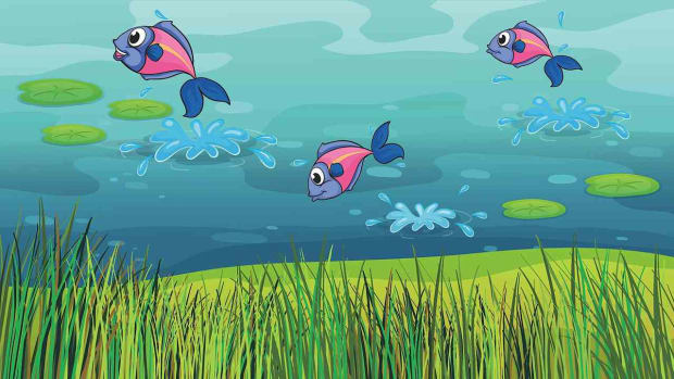 C. How to Sing 5 Little Fishies in the Sea Promo Image