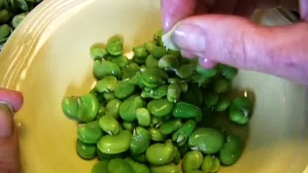 ZO. How to Prepare Fava Beans Promo Image