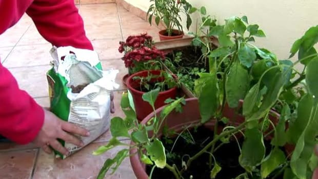 Vegetable Gardening - Howcast
