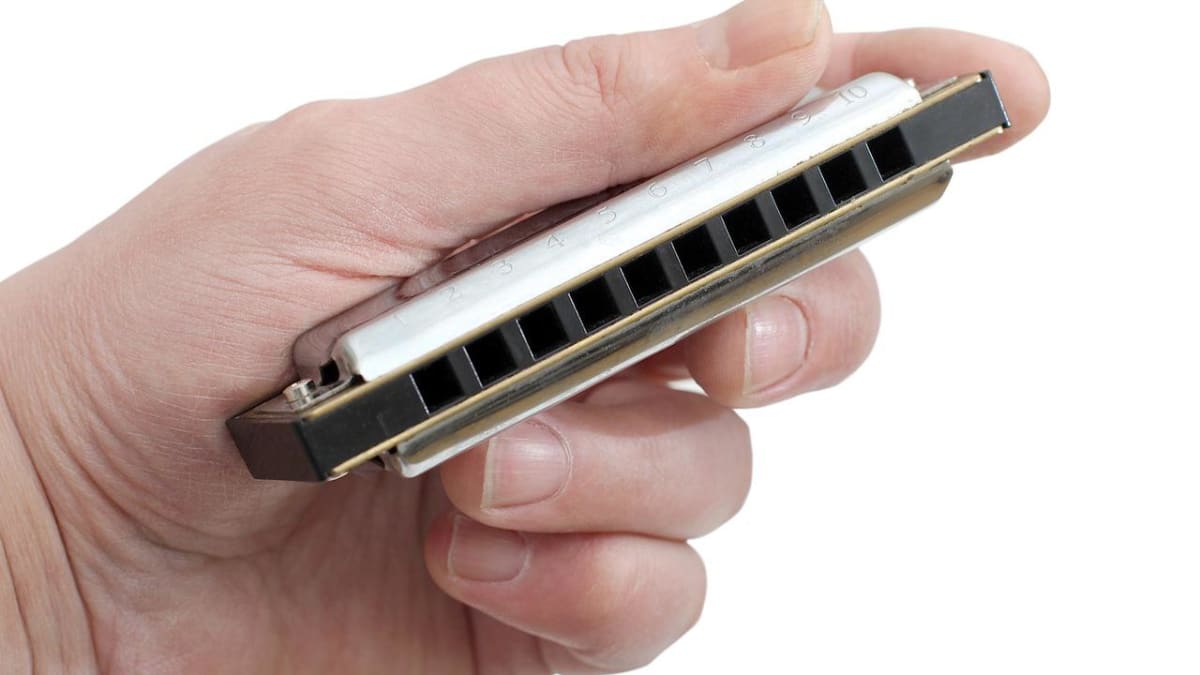 Different Types of Harmonicas Howcast