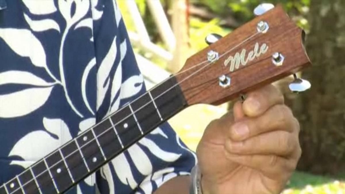Ukulele pitch pipe top