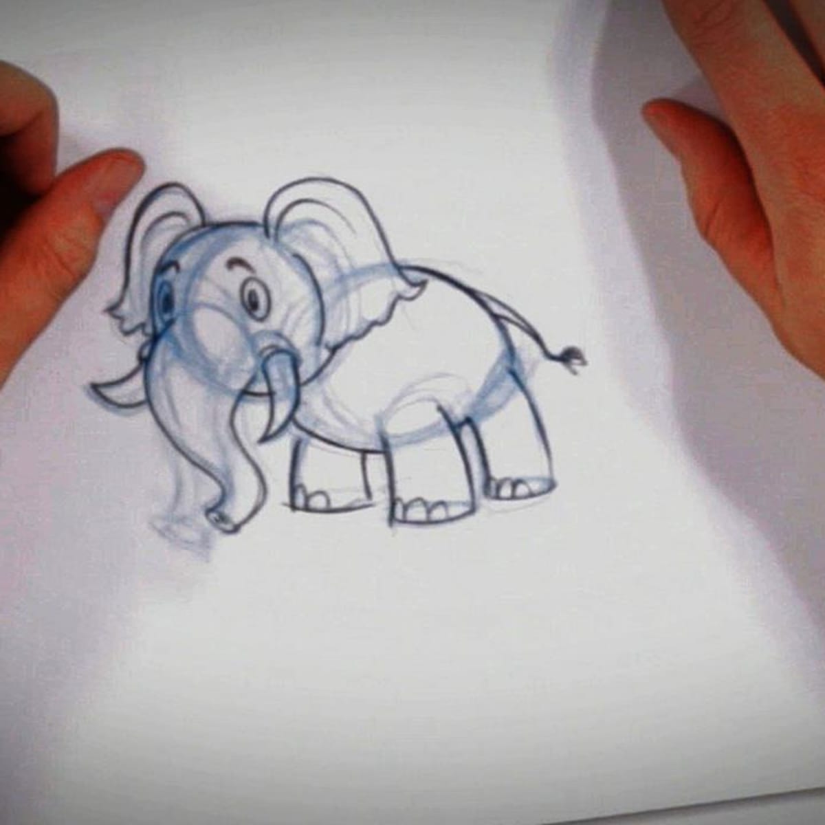How to Draw a Cartoon Elephant - Howcast