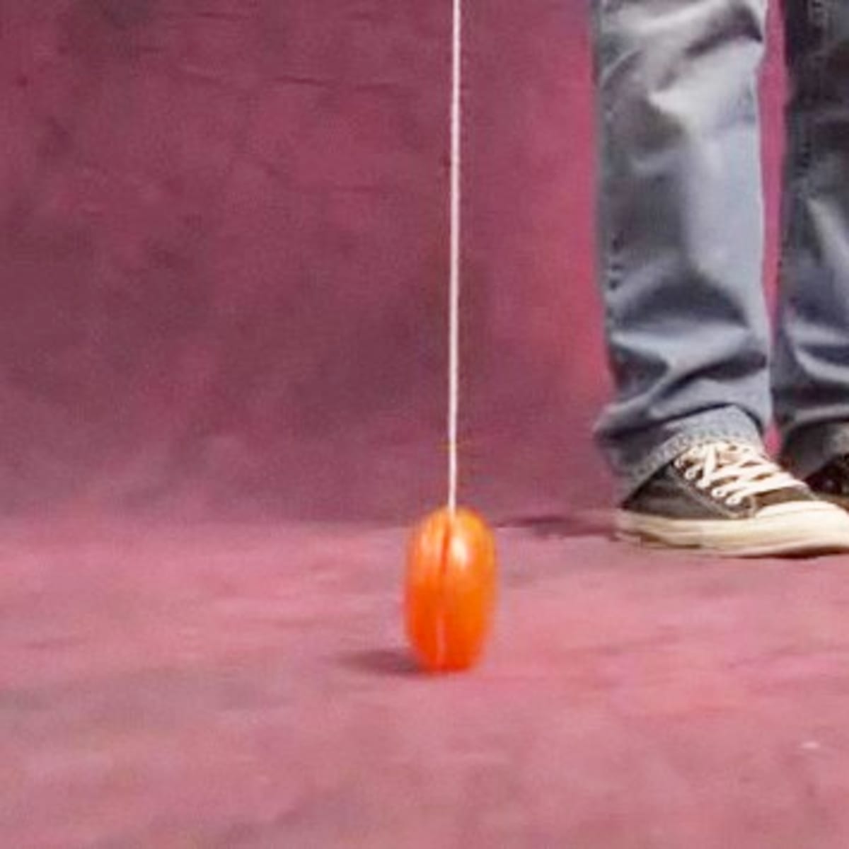Walk the 2025 dog yoyo