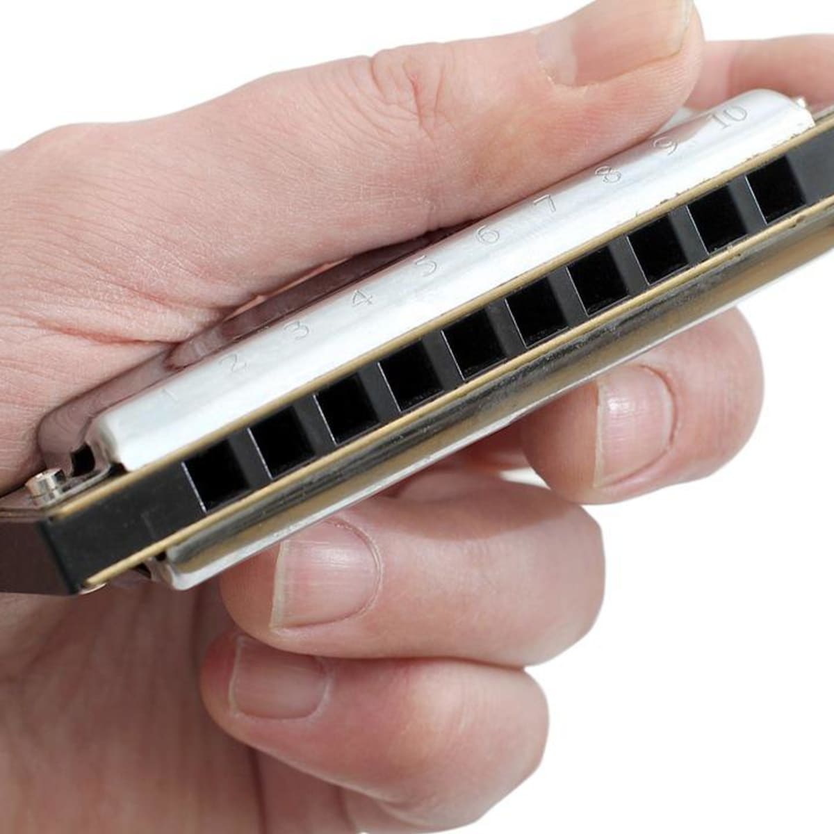 Different types deals of harmonicas