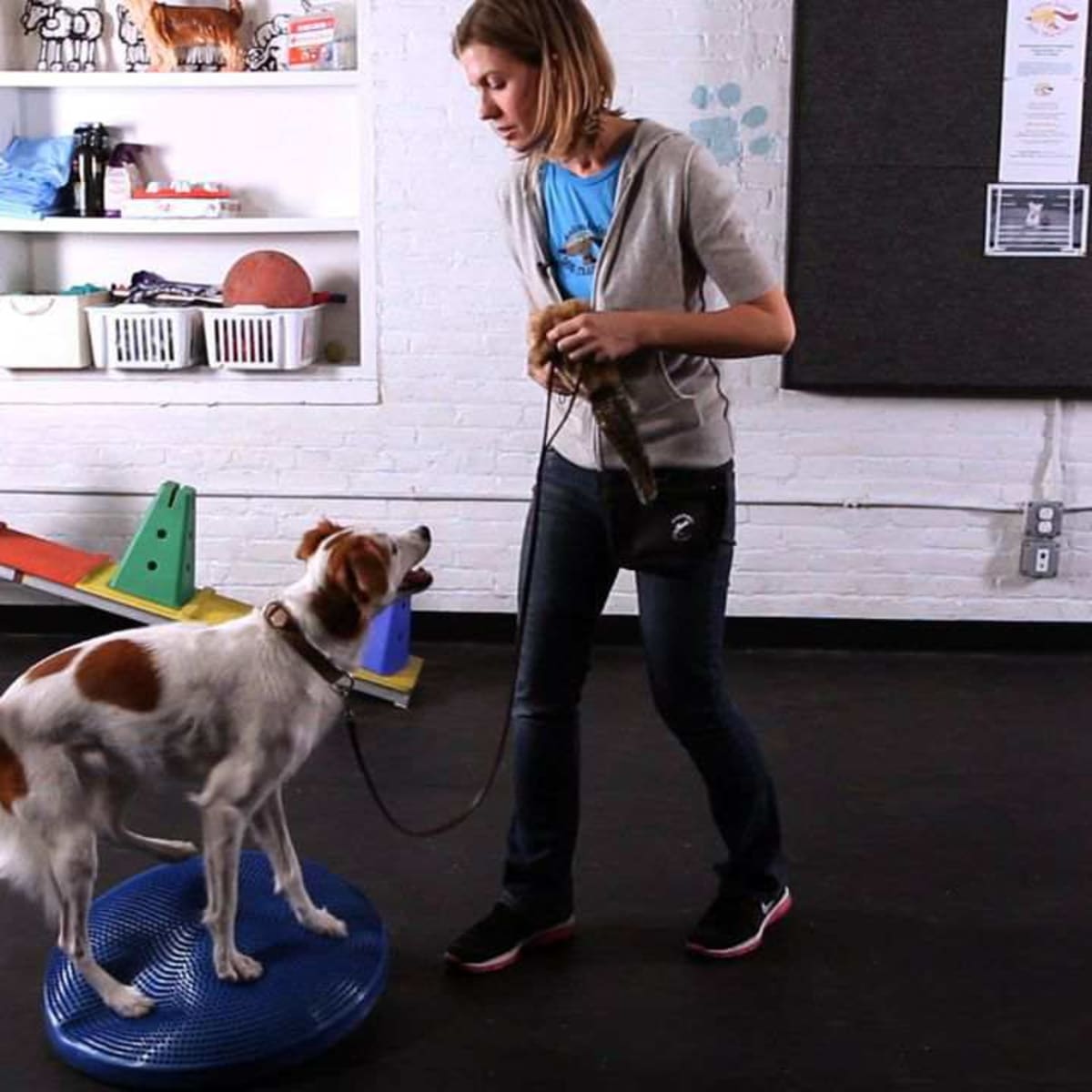 How to Teach Your Dog Tricks without Treats Howcast