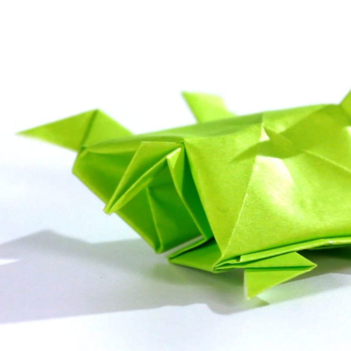 How to Make an Origami Turtle Howcast