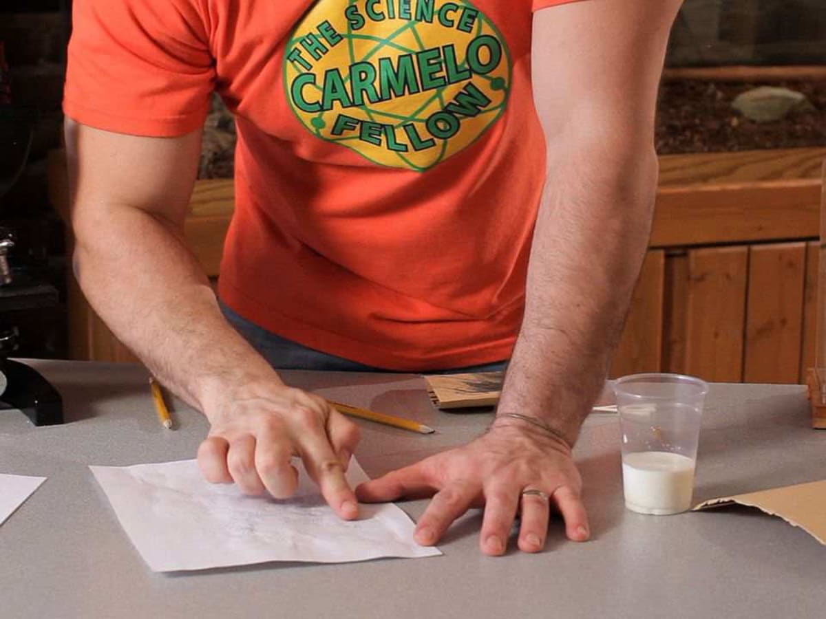 How to Write a Secret Message in Milk - Howcast How to Write a Secret Message in Milk - Howcast