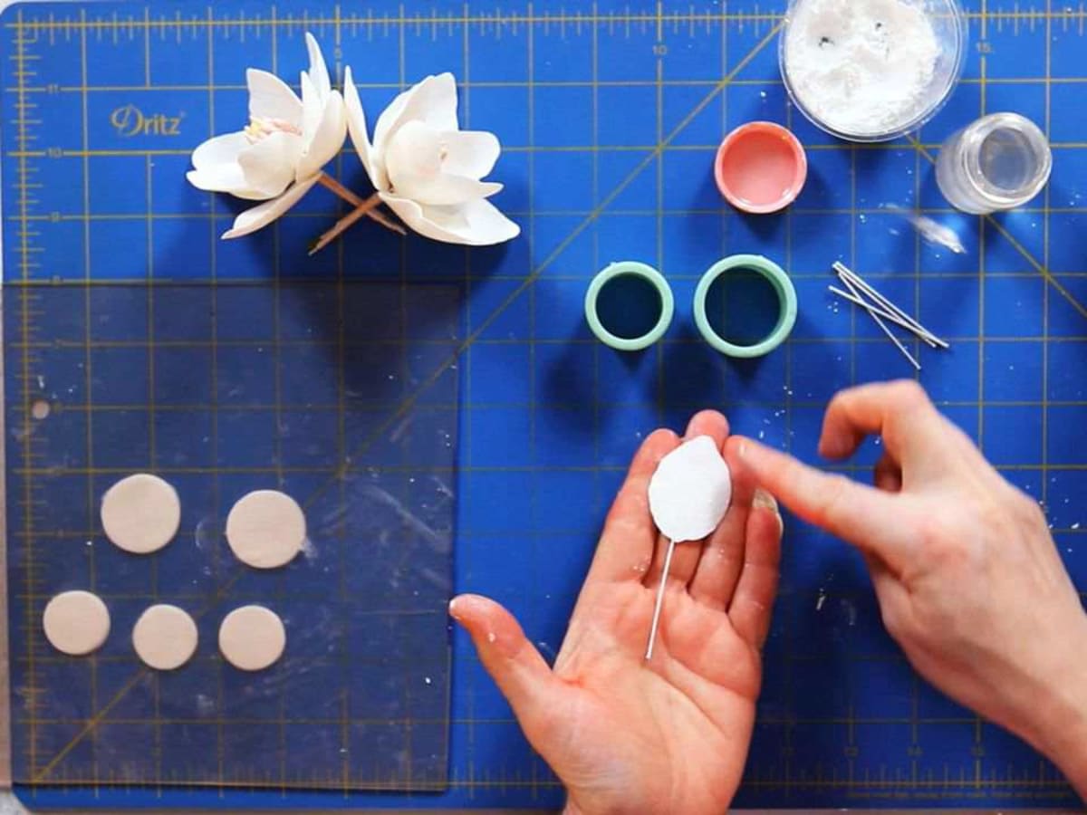 Make Magnolia Sugar Paste Flower Petals