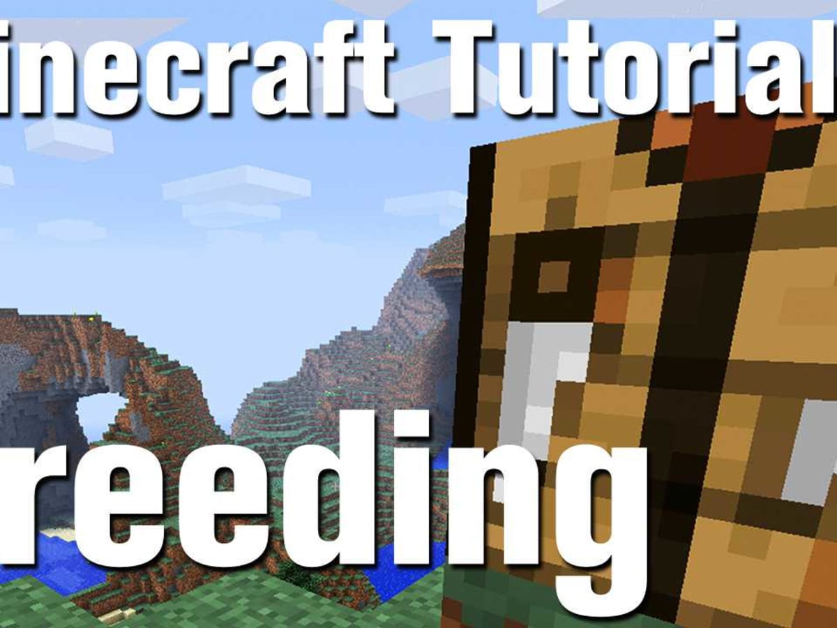 Minecraft Tutorial: How to Breed Animals in Minecraft - Howcast Minecraft Tutorial: How to Breed Animals in Minecraft - Howcast
