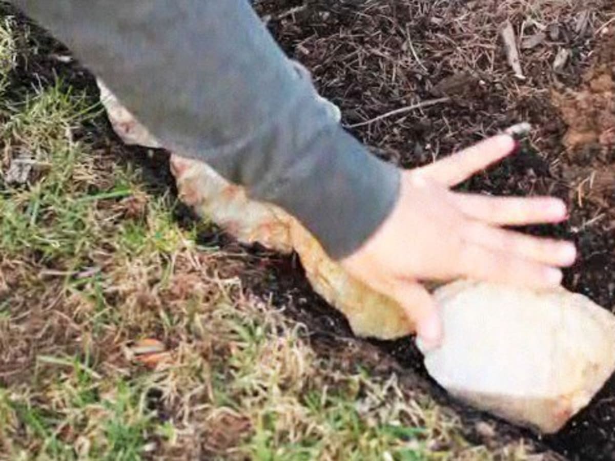 How To Lay Rocks For A Garden Border Howcast How To Lay Rocks For A Garden Border, How To Lay Rocks For Garden Border