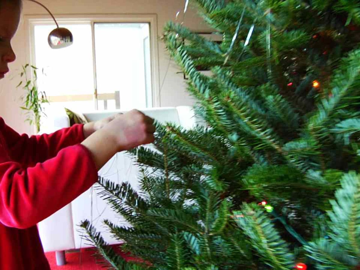 How to Hang Garlands & Tinsel on a Christmas Tree - Howcast