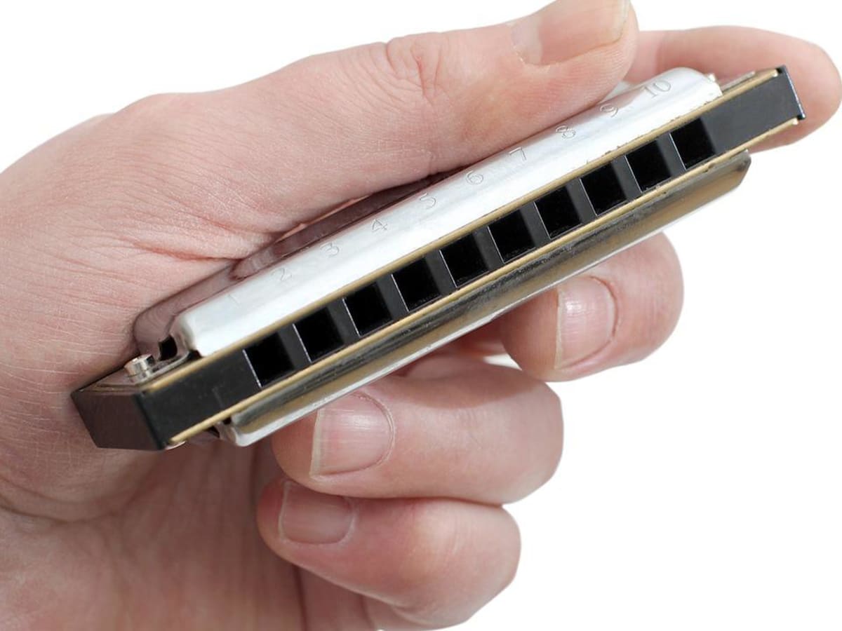 Different kinds of harmonicas new arrivals