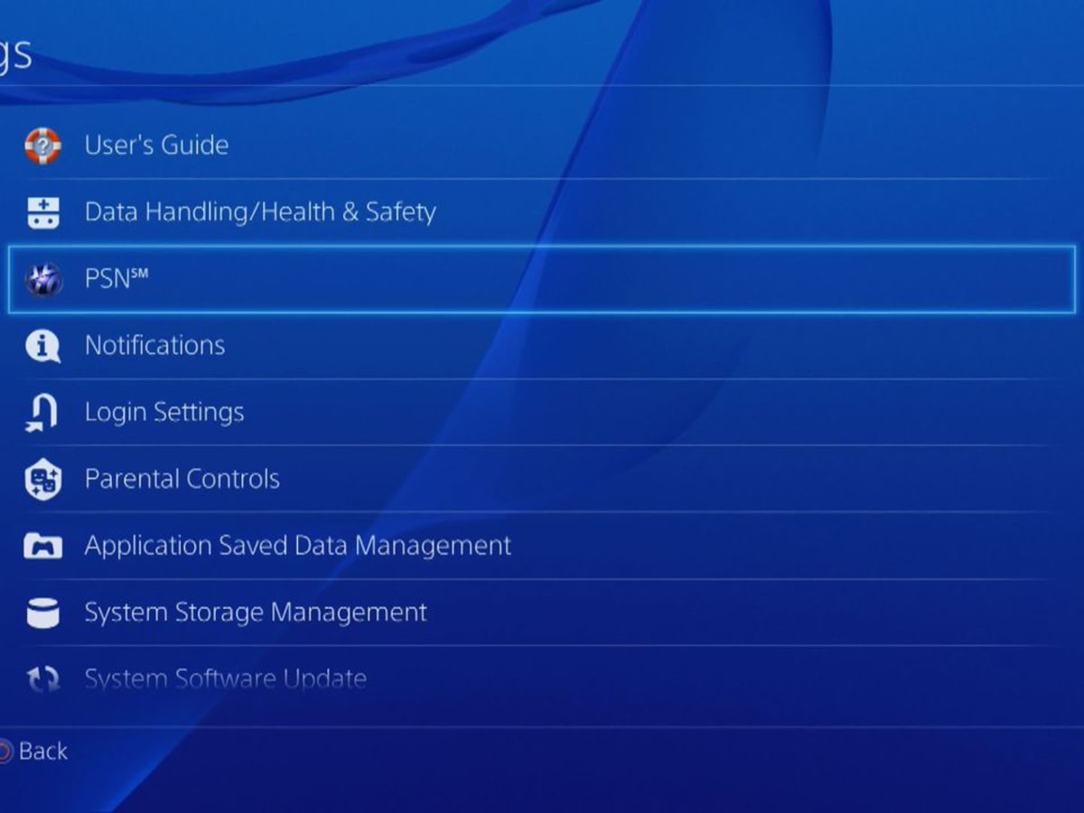 Playstation 4 hot sale gigabytes