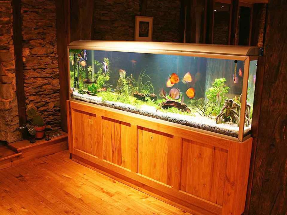 Huge fish tanks on sale