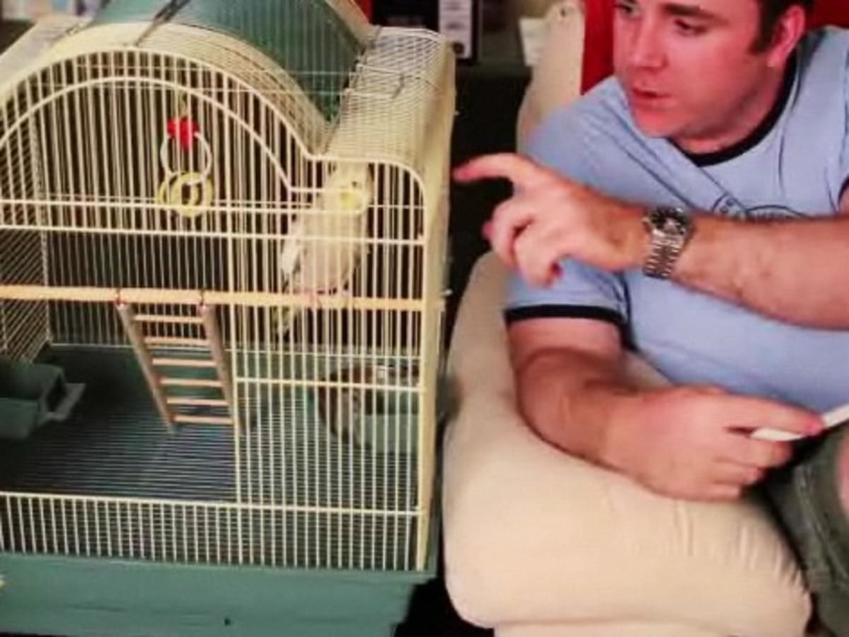 Best cage outlet