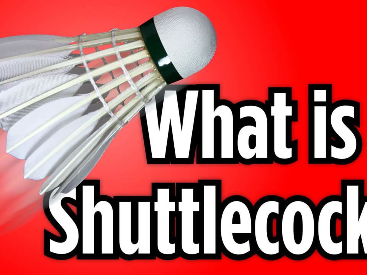 Birdie shuttlecock store
