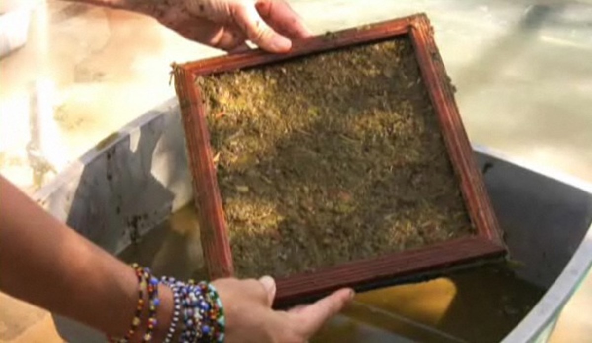 How to Make Paper from Plant Fibers - Howcast