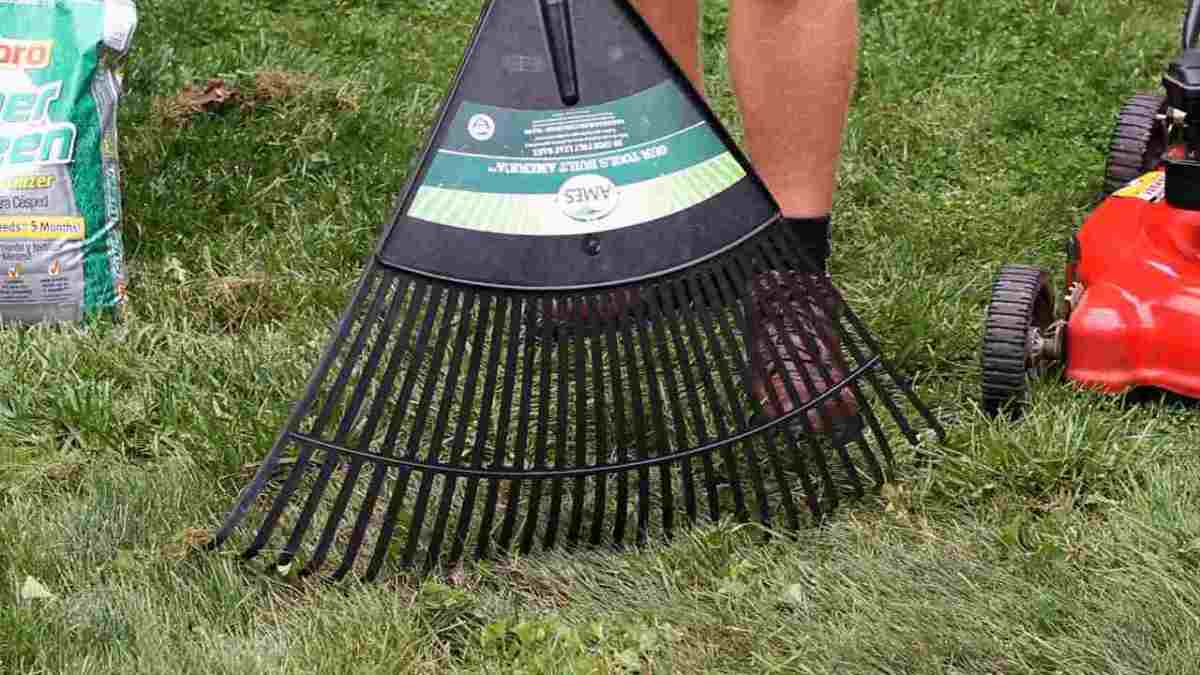 How to Remove Leaves Properly Howcast