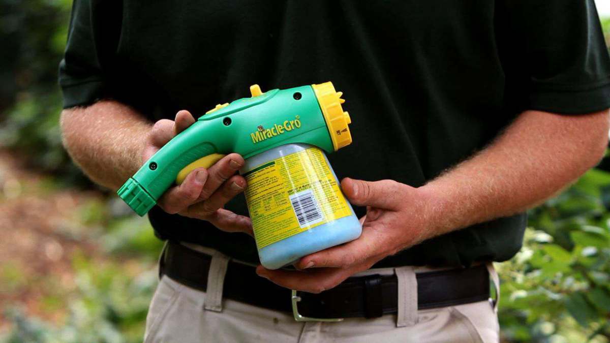 How To Fertilize Plants