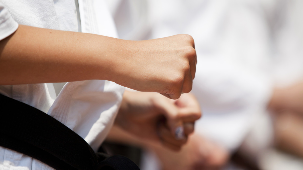 Learn How to Do Karate Moves &amp; Techniques Free Videos