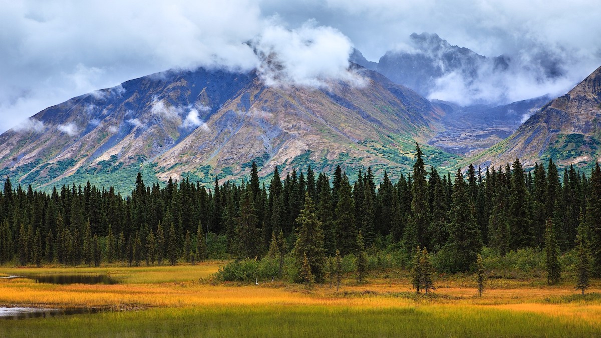 How to Survive in the Wilderness - Howcast