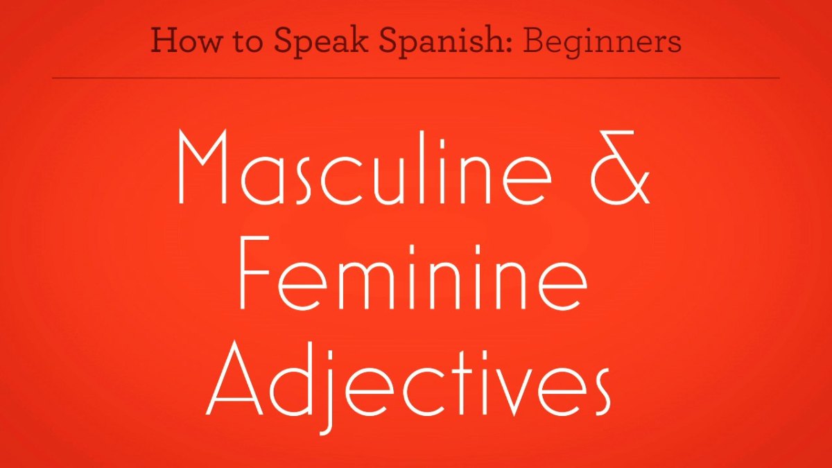 How to Use Masculine & Feminine Adjectives in Spanish Howcast